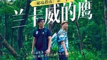 救援卡通小象
