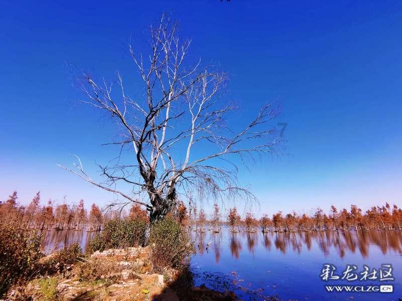 怎么论证“我们的本性不由能力决定,而在于我们的选择”?-企业领袖,智能前沿解决您的问题