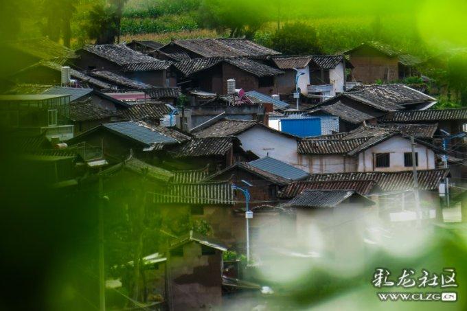 首届松花江滑冰马拉松|冰上马拉松勇敢者的游戏⑤ 注意好关门时间