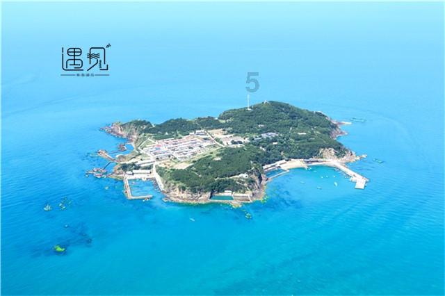 敏捷的白球