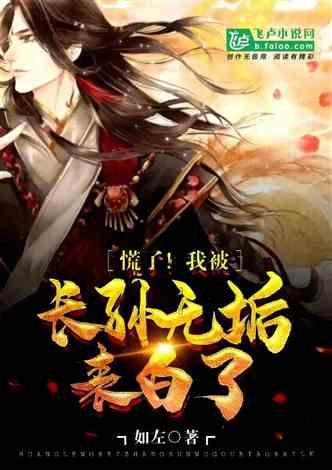 格斗战机