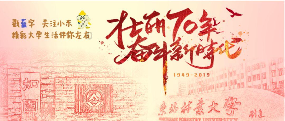 红色系