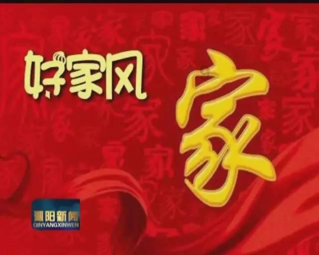 正泰光伏紫金项目怎么样？