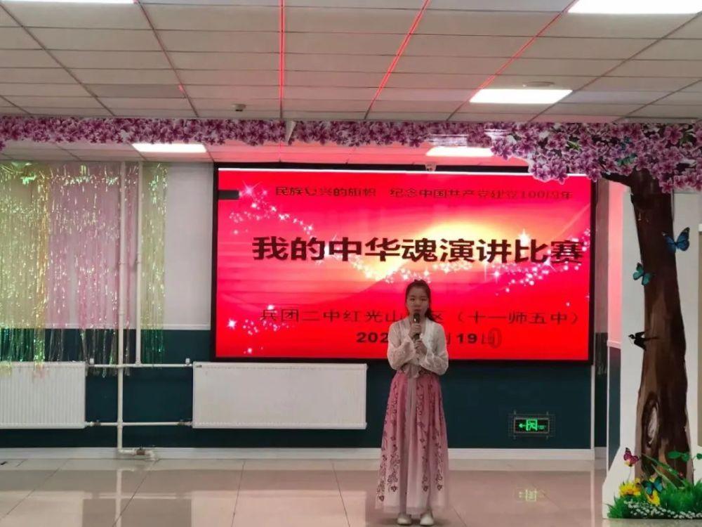 破碎的动物图形3
