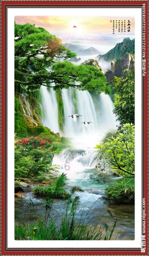 春雨直播app