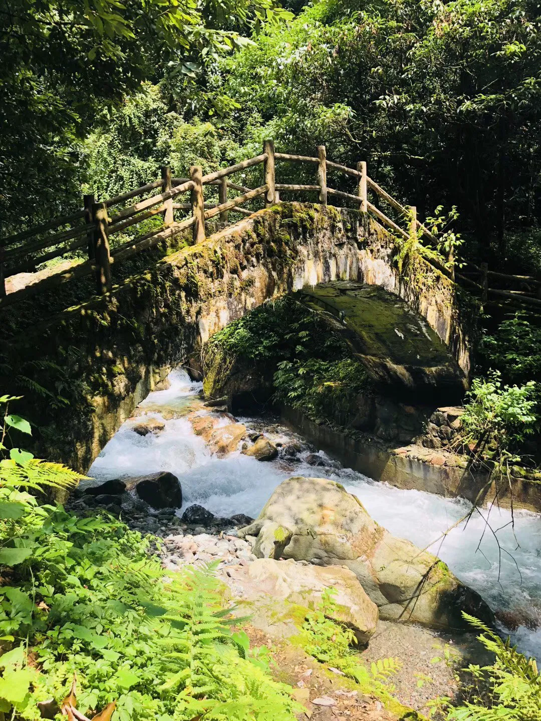 想要提高精子存活率,可以怎么做?