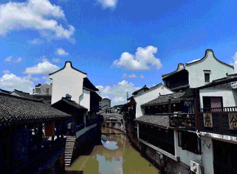 救援蝙蝠